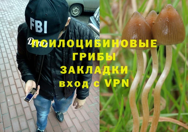 стафф Вяземский