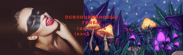 стафф Вяземский