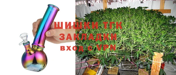 стафф Вяземский